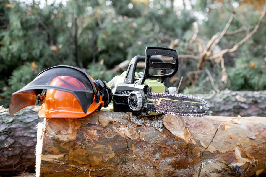 How Tree Cutting Service Enhances Property Safety And Access Laplace, LA How Tree Cutting Service Enhances Property Safety And Access Laplace, LA