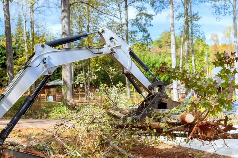 Quality Land Clearing Laplace, LA Quality Land Clearing Laplace, LA