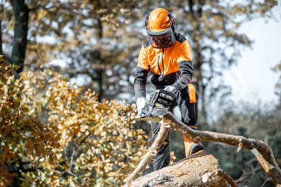 The Importance Of Hauling In Effective Tree Cutting Service Laplace, LA The Importance Of Hauling In Effective Tree Cutting Service Laplace, LA